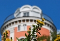 WTL-Haus-D31_6690.jpgWuppertal 